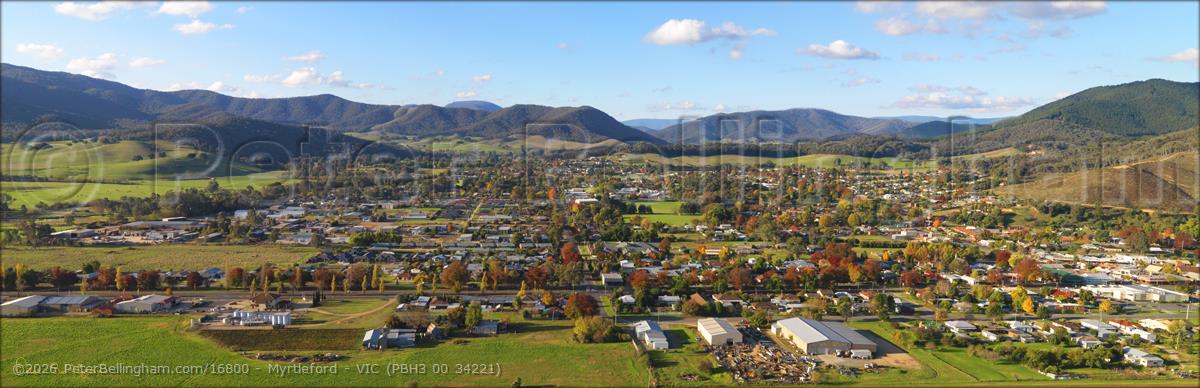 Peter Bellingham Photography Myrtleford - VIC (PBH3 00 34221)
